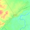 San Vicente Tancuayalab topographic map, elevation, terrain