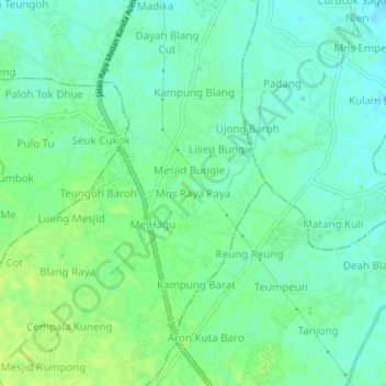 Mns Raya Paya topographic map, elevation, terrain