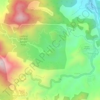 Sungei Palas Boh Plantation Viewpoint topographic map, elevation, terrain