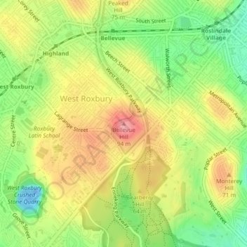 Bellevue Hill topographic map, elevation, terrain