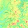 Springdale topographic map, elevation, terrain