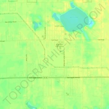 Wolf Lake topographic map, elevation, terrain