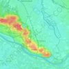 Rhenen topographic map, elevation, terrain
