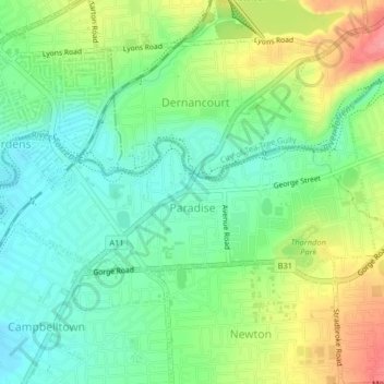 Paradise topographic map, elevation, terrain