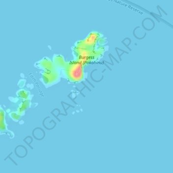 Mokohinau Islands topographic map, elevation, terrain
