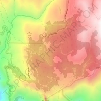 Giant Forest topographic map, elevation, terrain