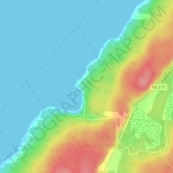 Whale Cove topographic map, elevation, terrain