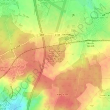 Roughtalley's Wood (South) & Epping Forest Woodland Burial Ground topographic map, elevation, terrain